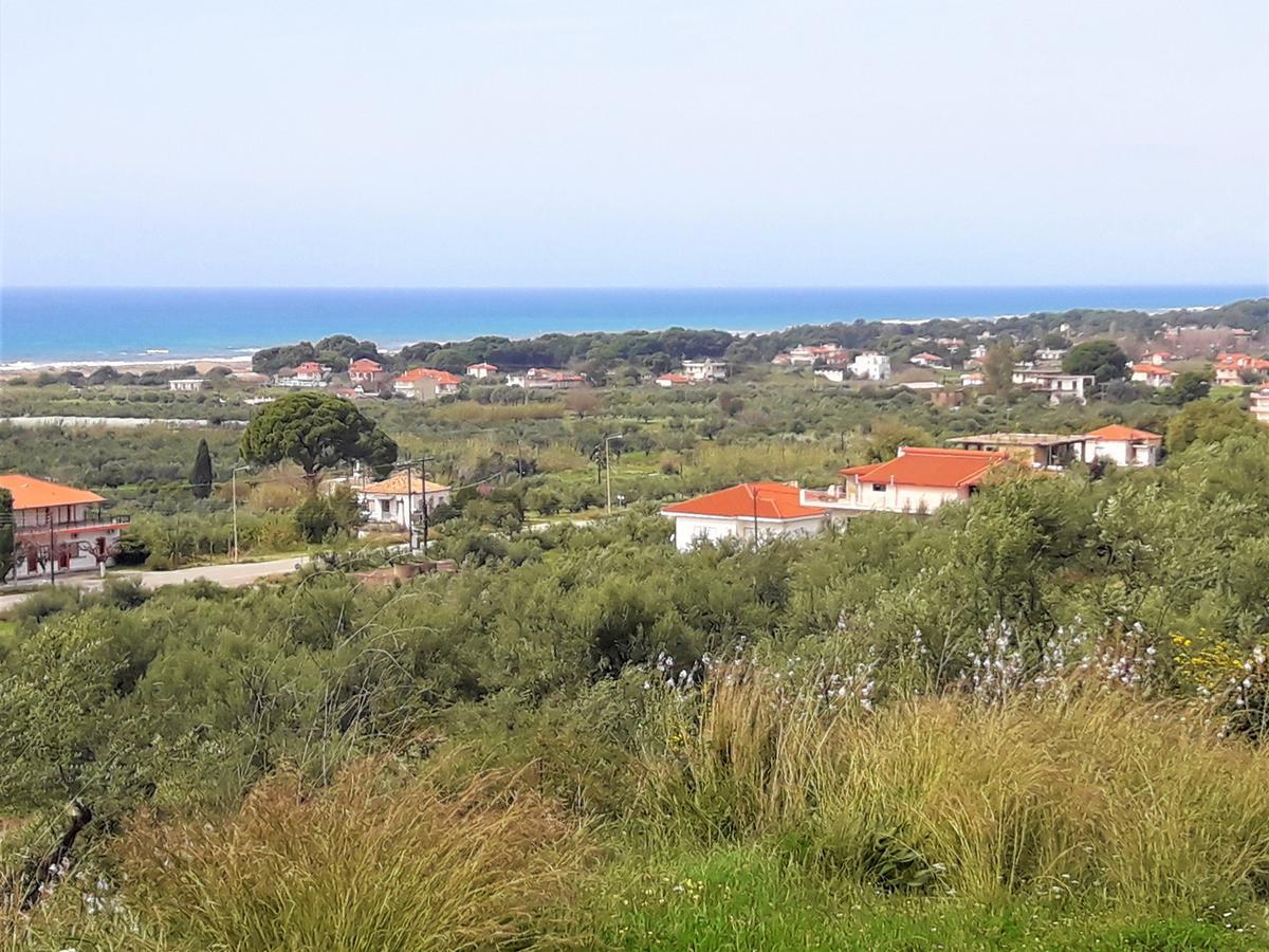 Panelma Villa Tranquil Coastal Retreat In Zacharo Tholon Dış mekan fotoğraf